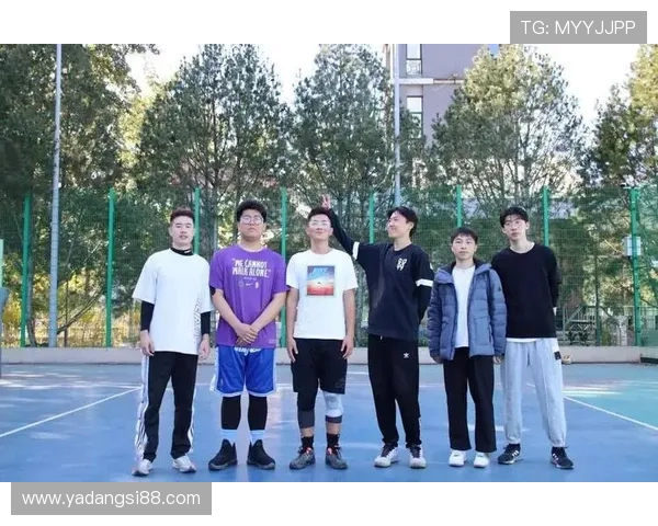 上海排球队在城市联赛中的默契配合与战术执行分析