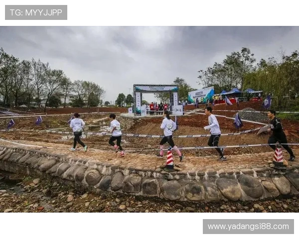 成都极限运动队协作创新引发热议推动极限运动新发展