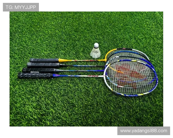 羽毛球意识排行榜揭晓南京羽毛球队荣登第八名引发关注