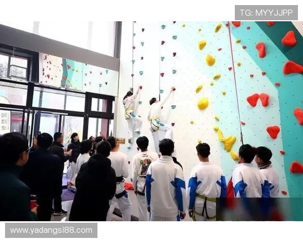 西安攀岩队实力解析：探索攀岩运动的魅力与挑战