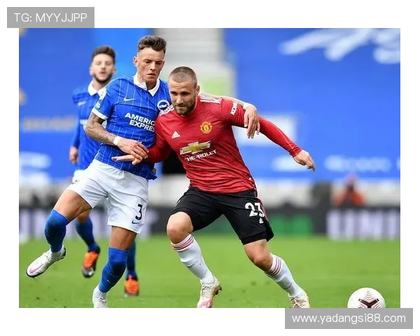 Elk射手如何在团队作战中发挥关键作用助力取得最终胜利