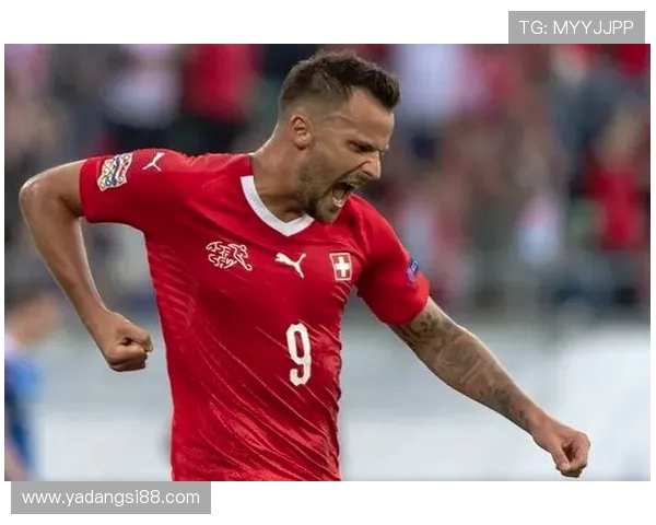 北爱尔兰与瑞士激战成平局双方在友谊赛中各展风采 北爱尔兰与瑞士激战成平局双方在友谊赛中各展风采